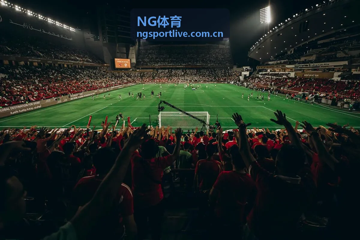 NG体育足球专区